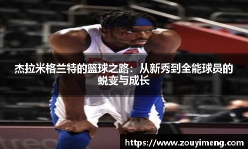 半岛综合体育
