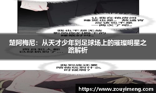 半岛综合体育平台