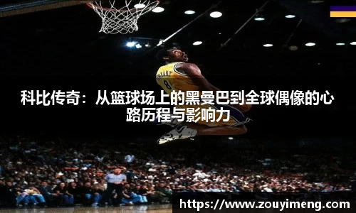 半岛综合体育官网